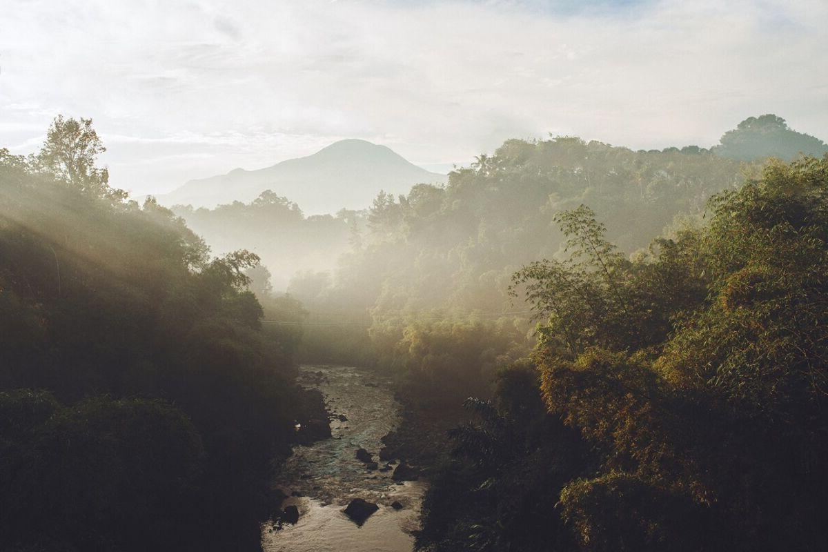 Mist hangs over river and trees with mountain in background
