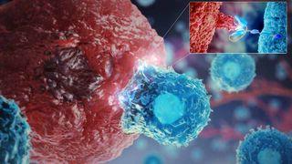 CAR-T细胞疗法视频封面图片:视频说明了澳门葡京赌博游戏对免疫系统的理解如何帮助操纵T细胞来帮助对抗癌症